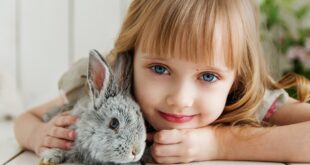 A child with a pet rabbit